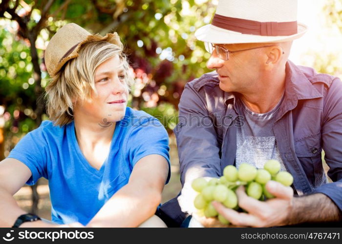 Father and son in vineyard. Father and son together in vineyard