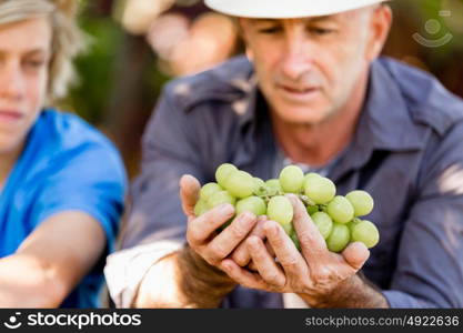 Father and son in vineyard. Father and son together in vineyard