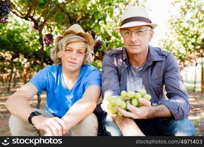 Father and son in vineyard. Father and son together in vineyard