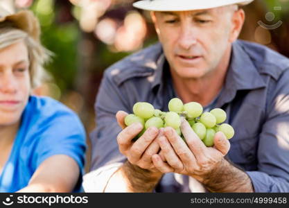 Father and son in vineyard. Father and son together in vineyard