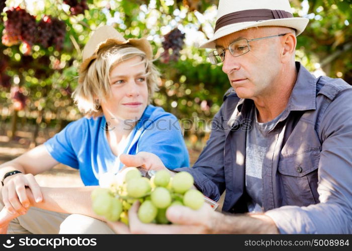 Father and son in vineyard. Father and son together in vineyard