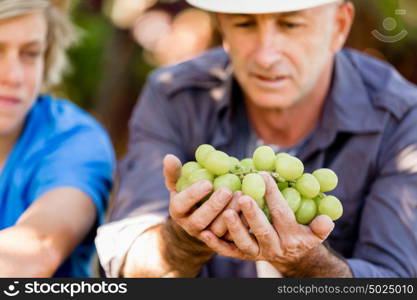 Father and son in vineyard. Father and son together in vineyard