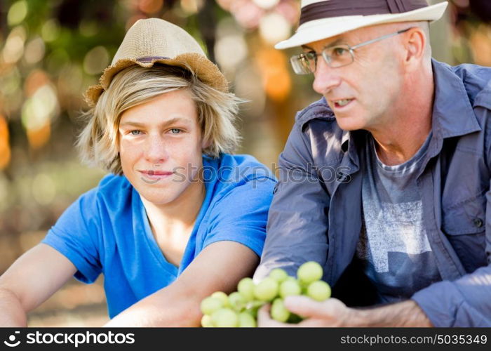 Father and son in vineyard. Father and son together in vineyard