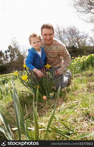 Father And Son On Easter Egg Hunt In Daffodil Field