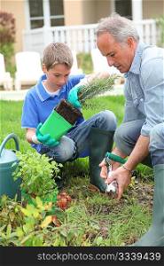 Father and son planting flowers in house garden