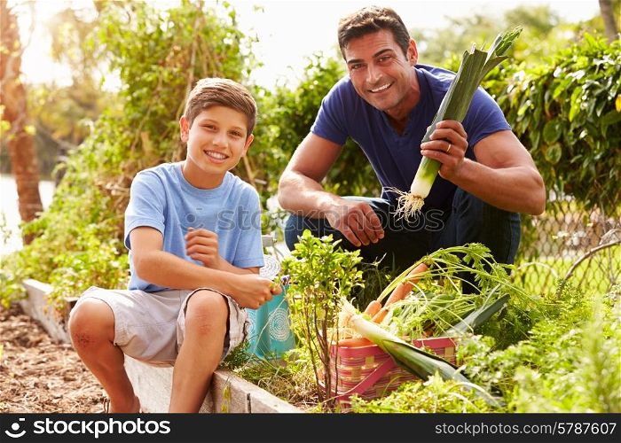 Father And Son Working On Allotment Together