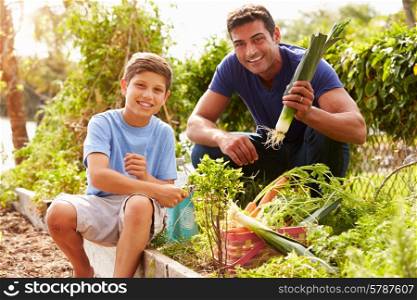 Father And Son Working On Allotment Together