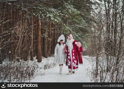 Father Frost goes on a visit to children.. Father Frost and Snegurochka go on the wood 1467.