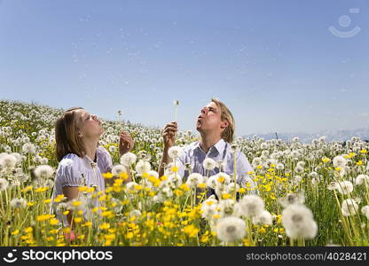 father, girl in meadow blowing dandelion