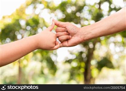 Father holding son&rsquo;s hand in a public garden