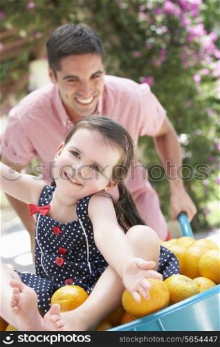 Father Pushing Daughter In Wheelbarrow Filled With Oranges