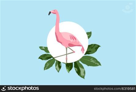 fauna and birds concept - pink flamingo over blue background with green leaves. pink flamingo bird over blue background