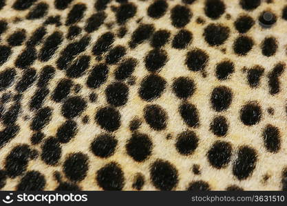 Faux leopard fur texture background