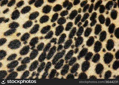 Faux leopard fur texture background