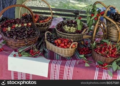 Feast of cherry fruit in the Kyustendil, presentment out their production raw fruit, Bulgaria