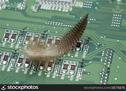 Feather and circuit board
