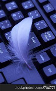 Feather and keyboard