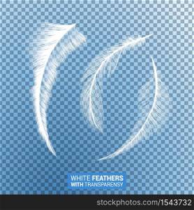 Feathers, white fluffy isolated falling plumes with transparent effect on blue background. Realistic 3D goose bird feathers quills with fluff plumage texture, flying and falling abstract shapes design. White fluffy feathers realistic transparent effect
