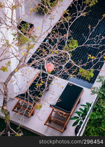 FEB 10, 2014 Chiang Mai, THAILAND - Outdoor hotel furniture black modern sunbeds by the dark blue pool and tropical garden, top view