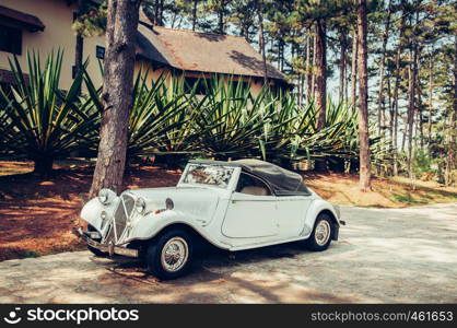 FEB 26, 2014 Dalat, Vietnam - Warm atmosphere and light through pine tree with white vintage luxury classic convertible car at colonial villa