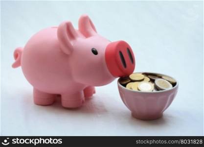 Feeding a piggy bank with euro coins