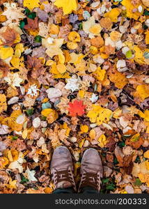 Feet and autumn leaves on the ground.