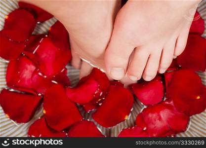 Feet in / above a bowl with water and rose petals - metaphor for wellness and pedicure