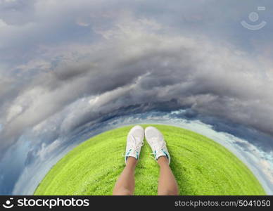 Feet in sneakers. Top view of female feet in white sneakers standing on grass