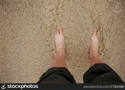 feet of a sandy beach