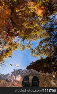 Feet shot and beautiful tree leaves shadow and blue sky reflected on water surface in tropical forest at Phu Kradueng National park, Loei - Thailand