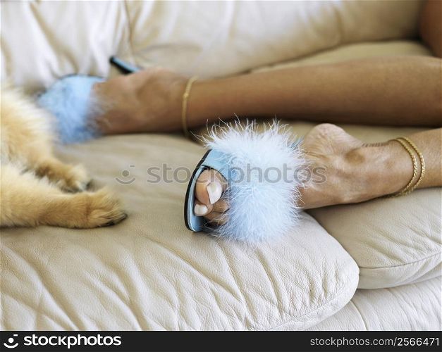 Feet shot of Caucasion middle-aged woman wearing furry heels beside dog paws both lying on couch.