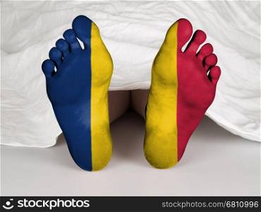 Feet with flag, sleeping or death concept, flag of Chad