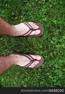 feet with sandals walking through some fresh, green grass