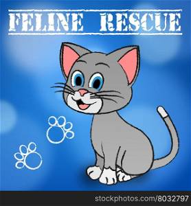 Feline Rescue Indicating Pets Felines And Kitten