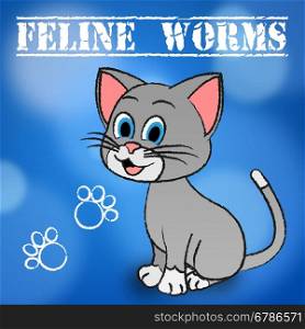 Feline Worms Meaning Domestic Cat And Pet
