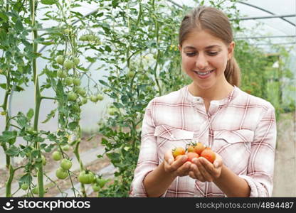 Female Agricultural Worker Checking Tomato Plants In Greenhouse