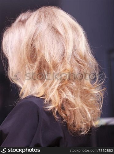 Female blond wavy hair. Back of woman girl head. By hairdresser in hairdressing beauty salon.