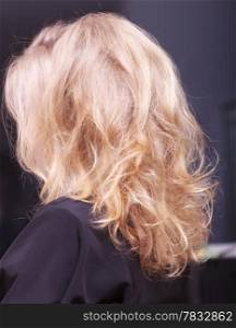 Female blond wavy hair. Back of woman girl head. By hairdresser in hairdressing beauty salon.