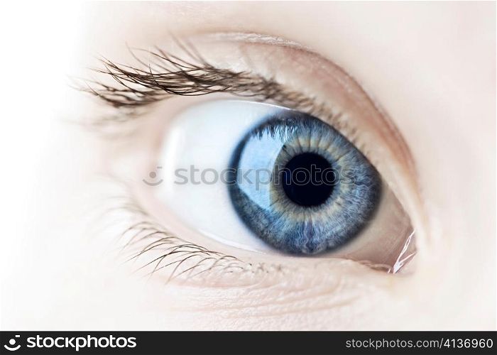 Female blue eye looking at camera close up