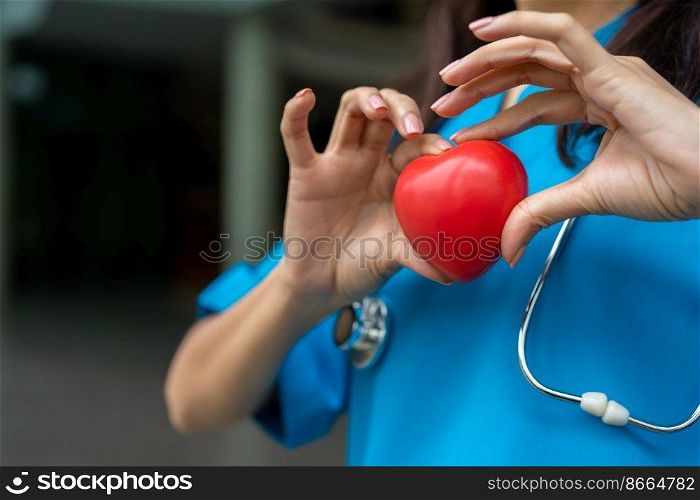 Female Cardiovascular disease doctor or cardiologist with stethoscope holding red heart, Medical health care and doctor staff service concept.