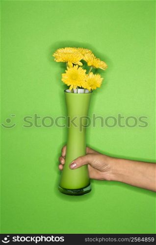 Female Caucasian young adult&acute;s hand holding vase with flowers.