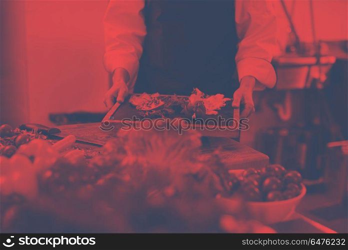 female Chef in hotel or restaurant kitchen holding grilled beef steak plate with vegetable decoration. female Chef holding beef steak plate