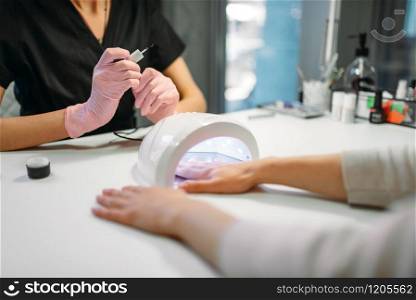 Female client dries gel varnish in the nail dryer, beautician in pink gloves on background, beauty salon. Manicurist doing hand care cosmetic procedure. Female client dries gel varnish in the nail dryer