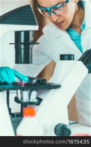Female cscientist working in laboratory