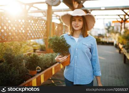 Female customer buying flower in a pot, shop for floristry. Woman choosing equipment in store for floriculture, florist instrument purchasing. Female customer buying flower in a pot, floristry