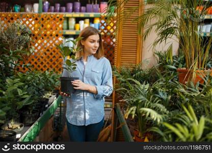 Female customer with flower in a pot, shop for floristry. Woman buying equipment in store for floriculture, florist instrument purchasing