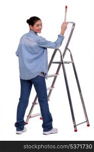 Female DIY fan stood with paint brush and ladder