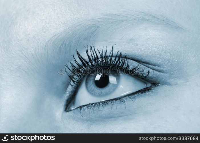 Female eye - blue tone. A photo close up