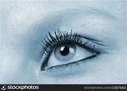 Female eye - blue tone. A photo close up