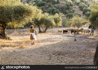 female farmer herding sheeps olive orchard